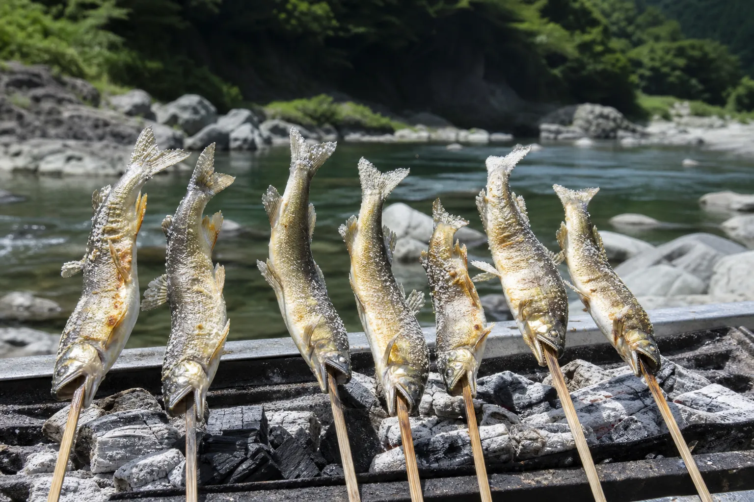Ayu no shioyaki grilling by the river in Gifu