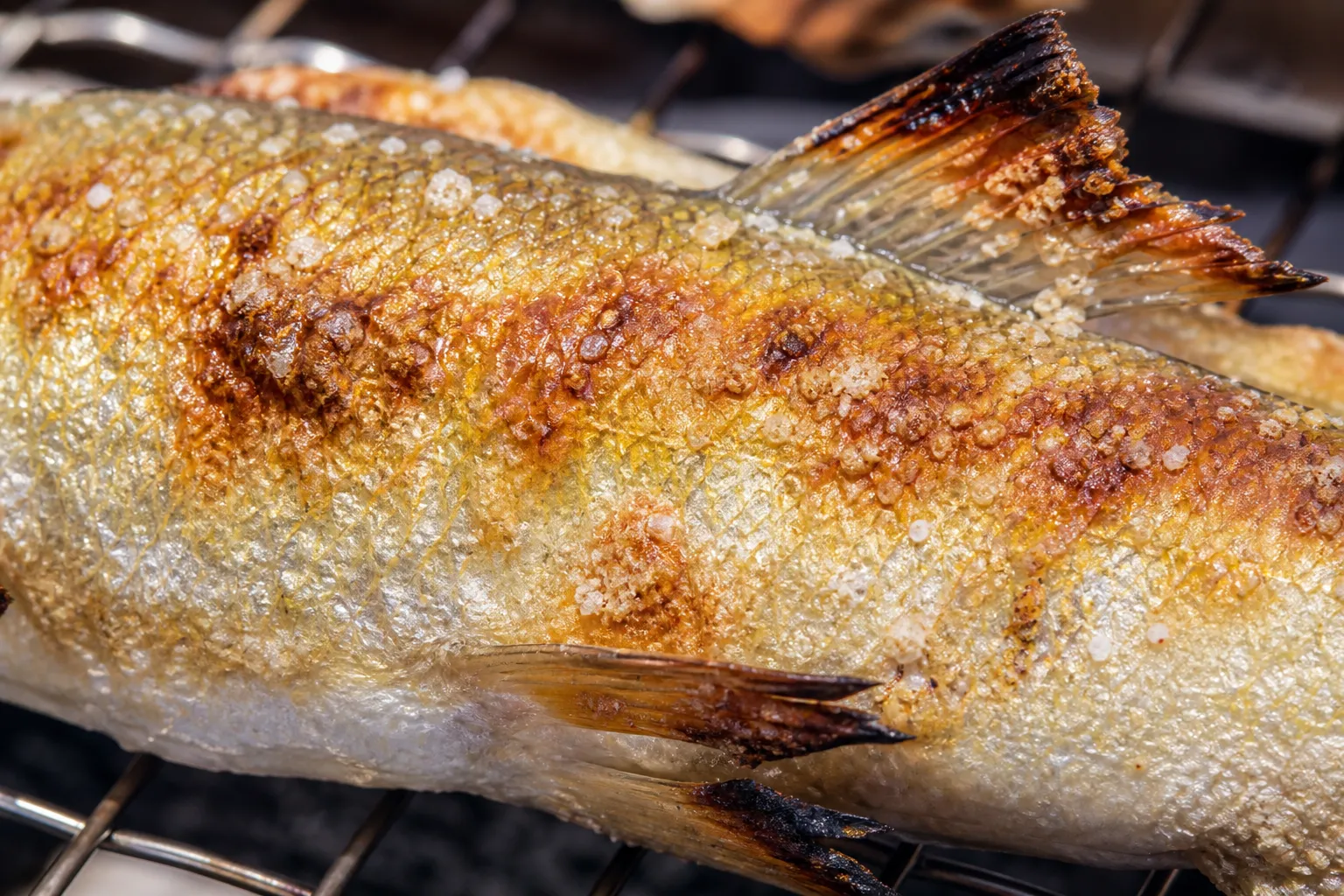 Close-up of salt-grilled ayu, crisp skin and white flesh