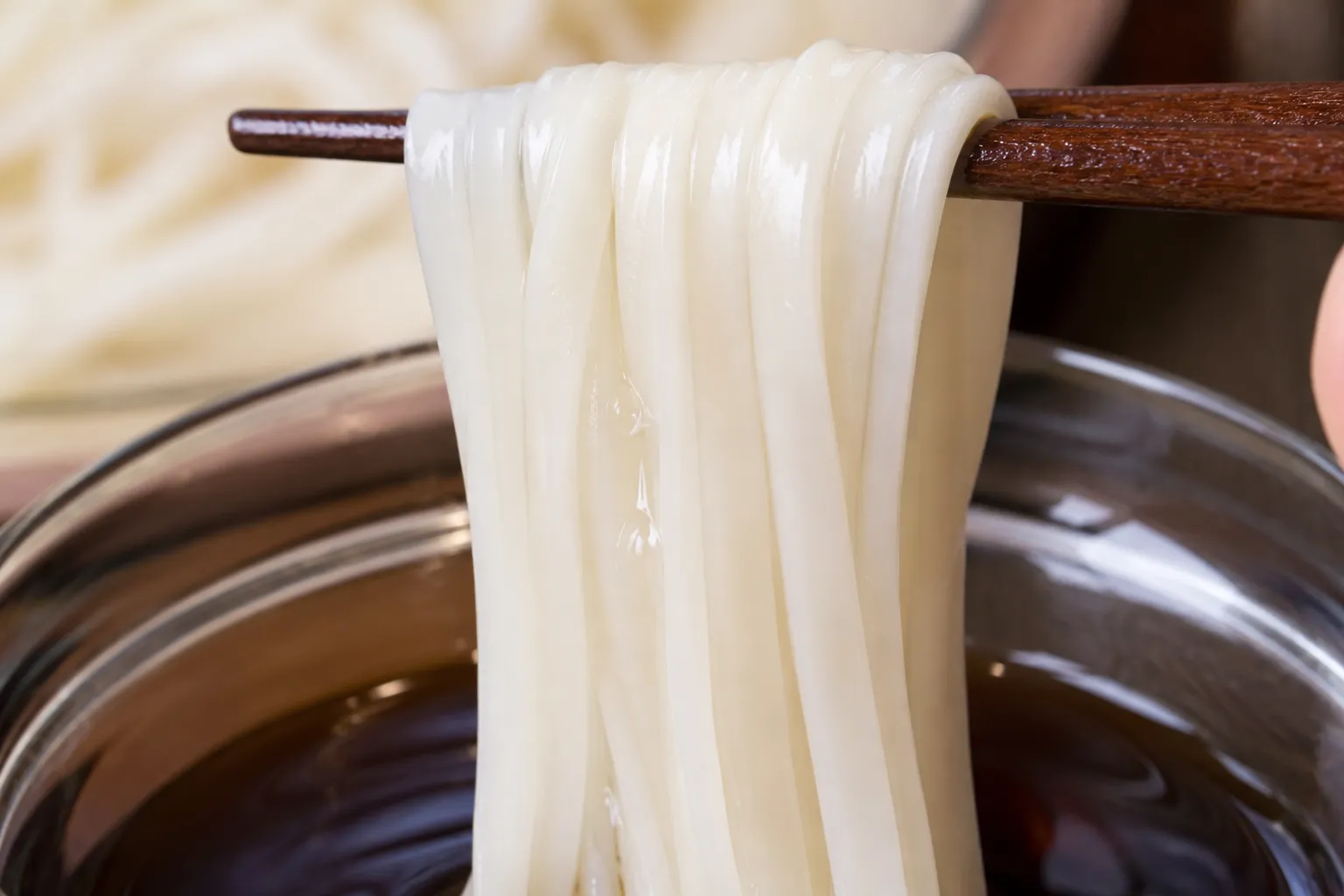 Close-up of thin glossy inaniwa udon noodles lifted on chopsticks