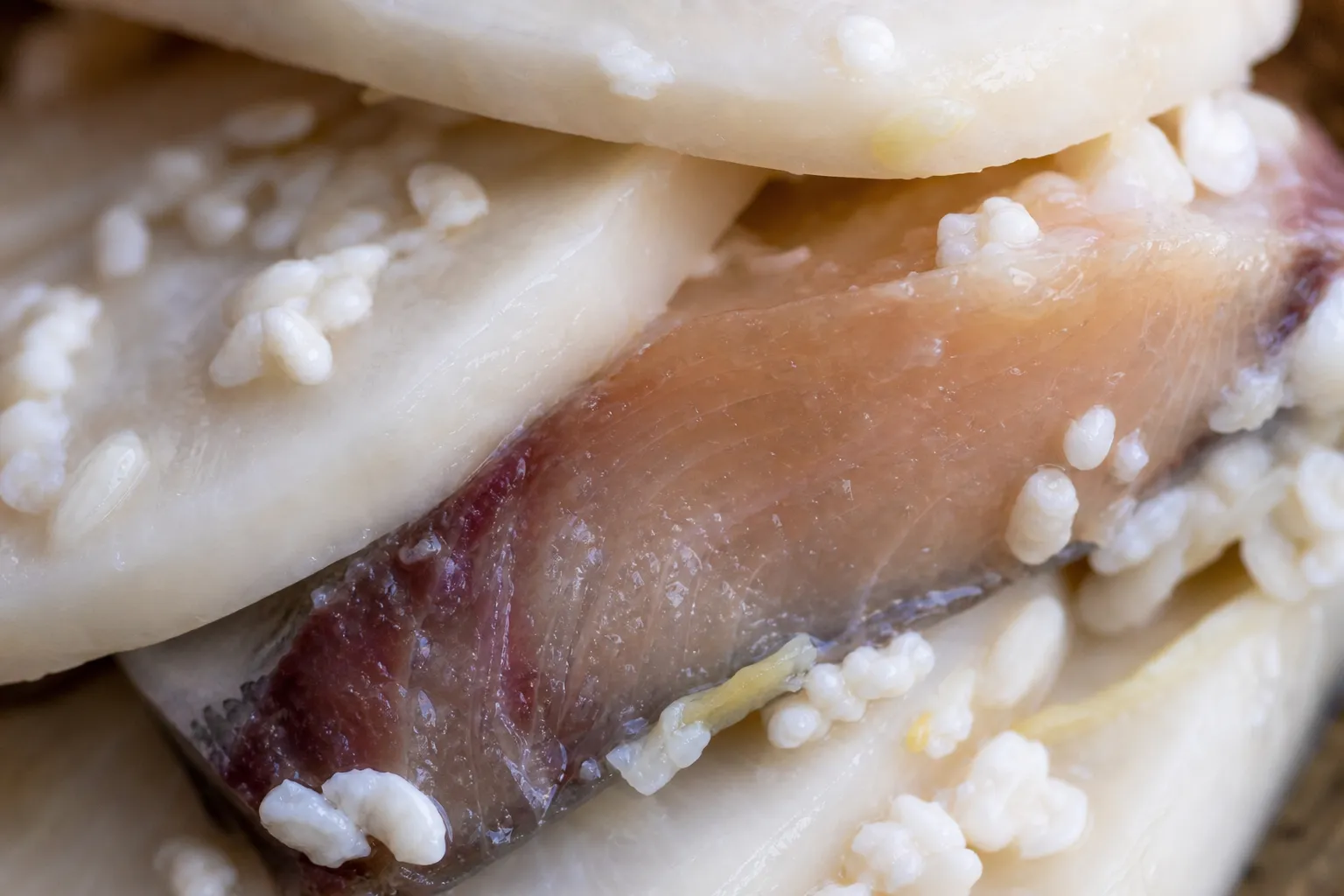 Close-up of a kabura-zushi round showing the yellowtail slice inside the pickled turnip and clinging koji