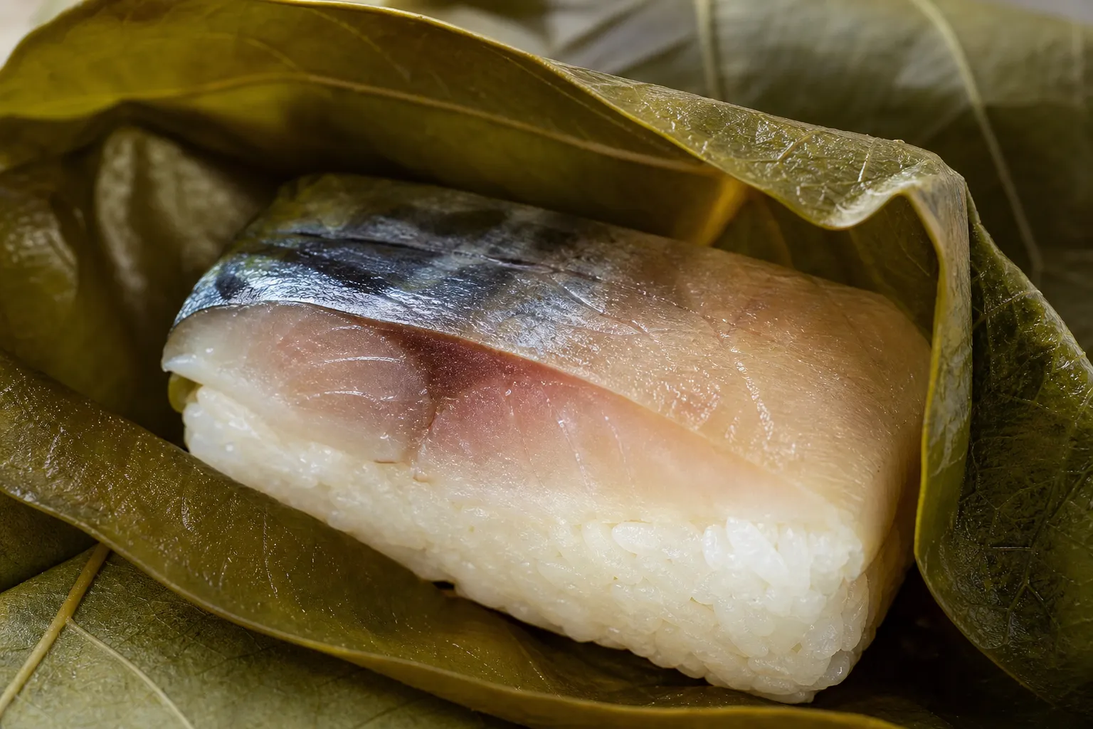 Close-up of a kakinoha-zushi piece with the persimmon leaf opened to reveal cured mackerel on pressed rice