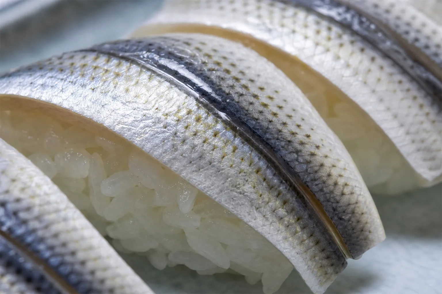 Close-up of silvery vinegar-cured mamakari over vinegared rice