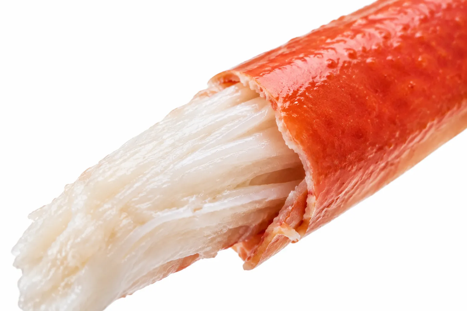 Close-up of a cracked snow crab leg with dense white meat pulled from the shell
