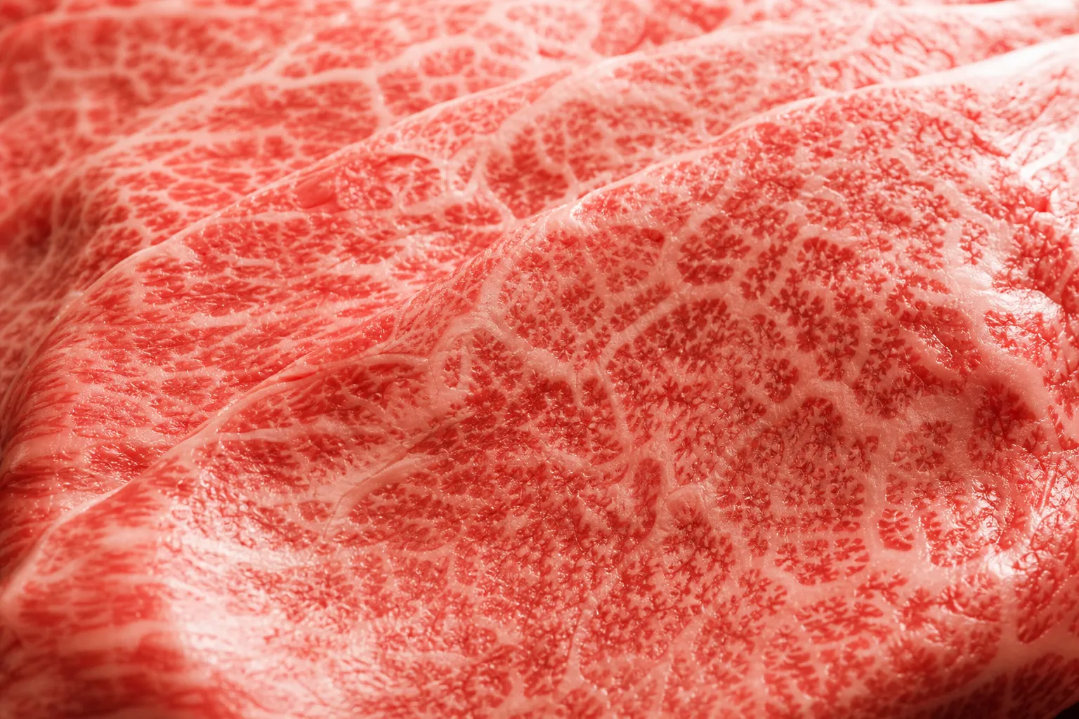 Close-up of Omi beef