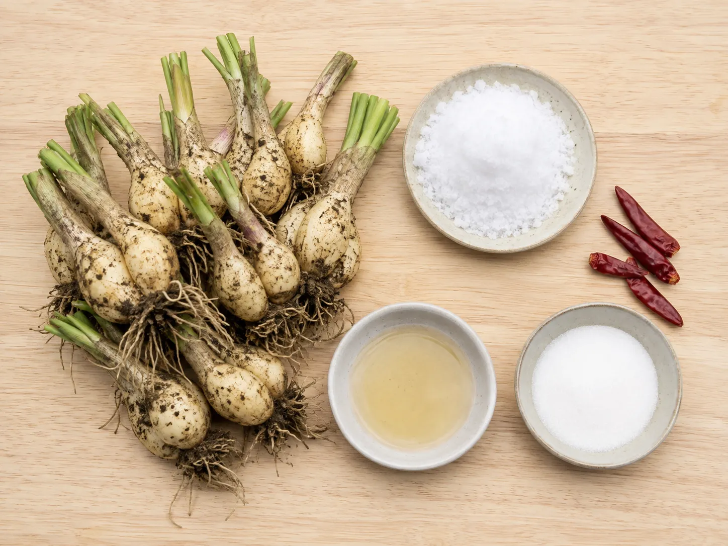 Flat lay of rakkyo ingredients: freshly dug raw bulbs with sandy roots, coarse salt, dried chilli and vinegar