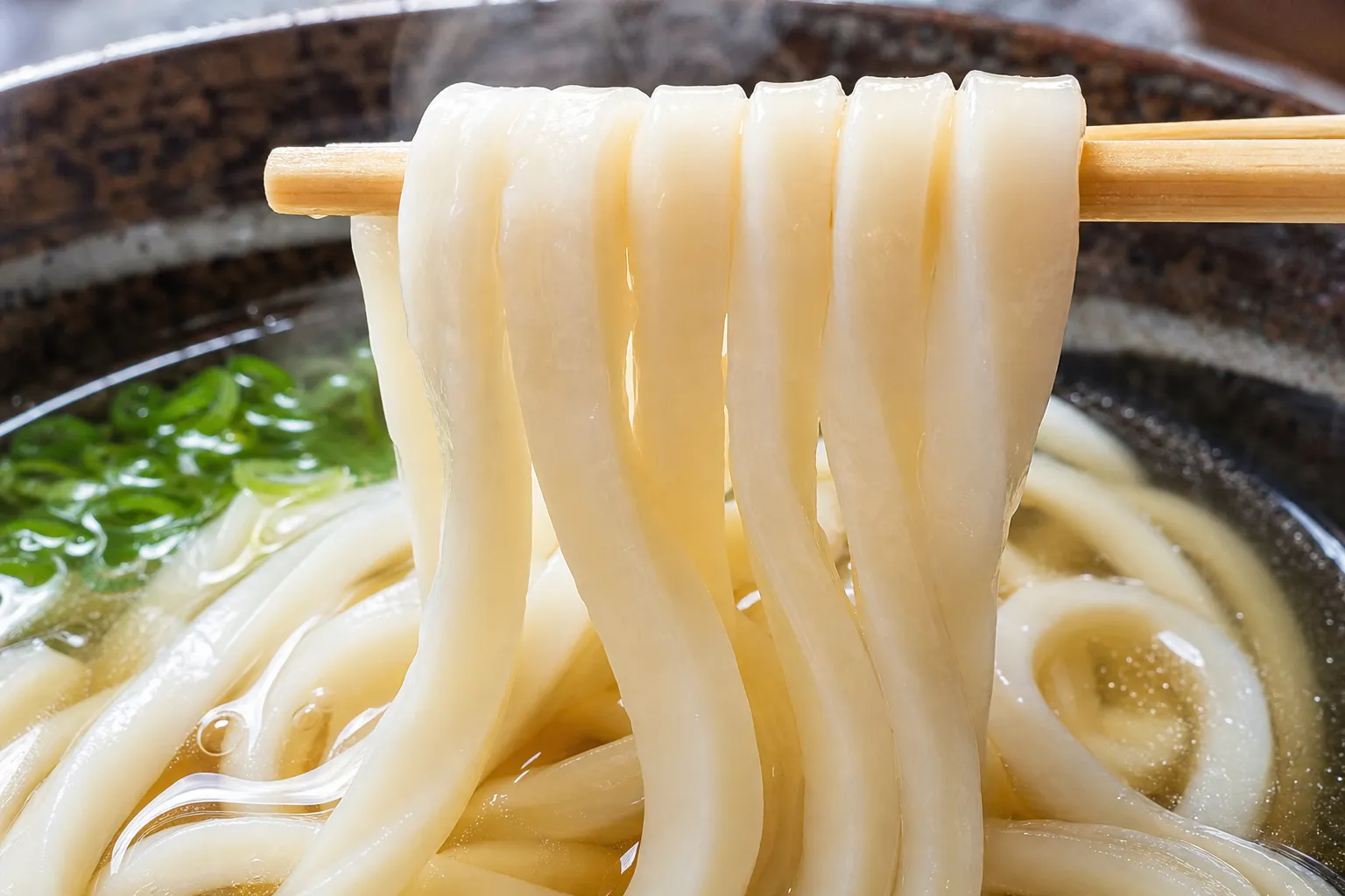 Close-up of Sanuki Udon