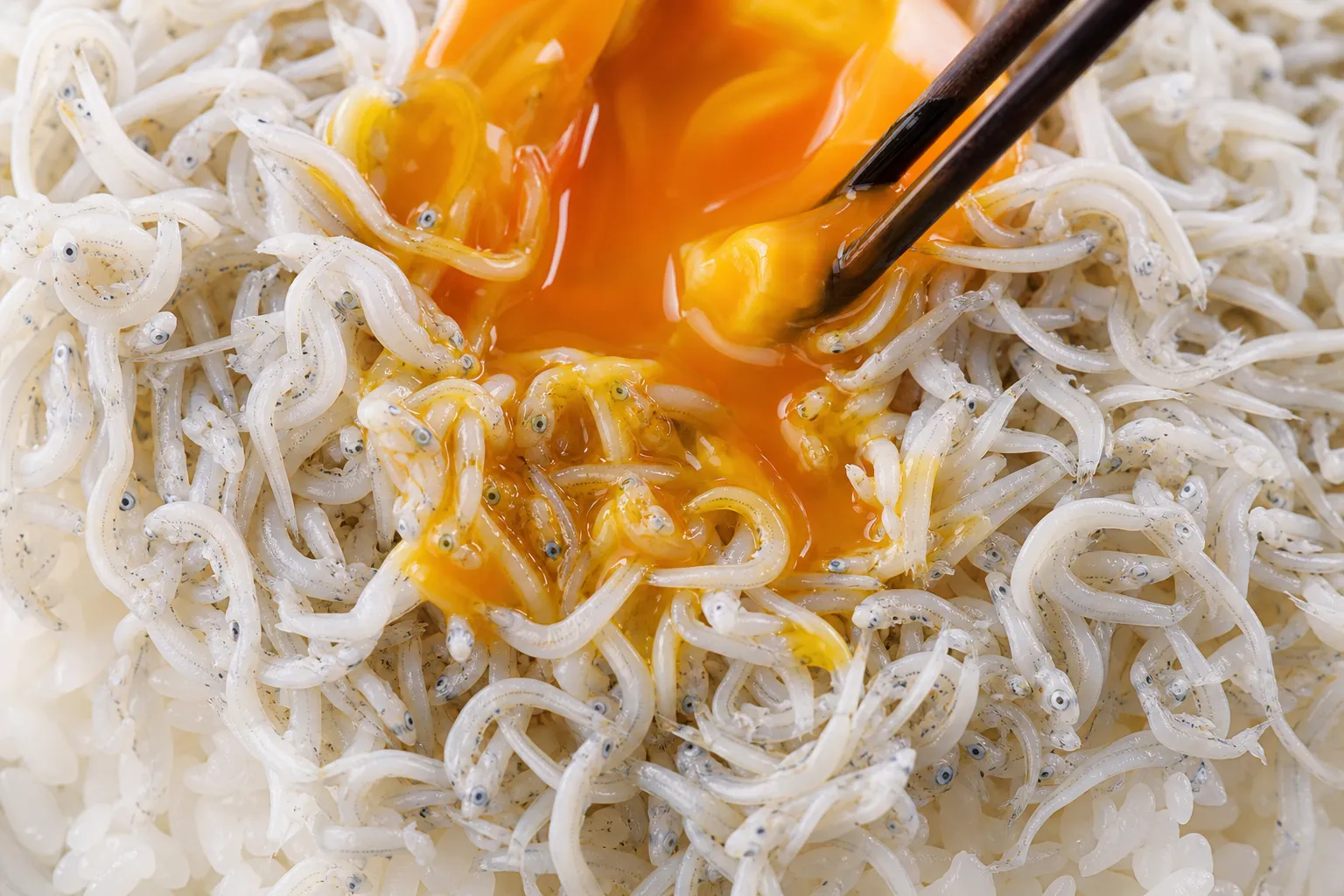 Close-up of Shirasu Don