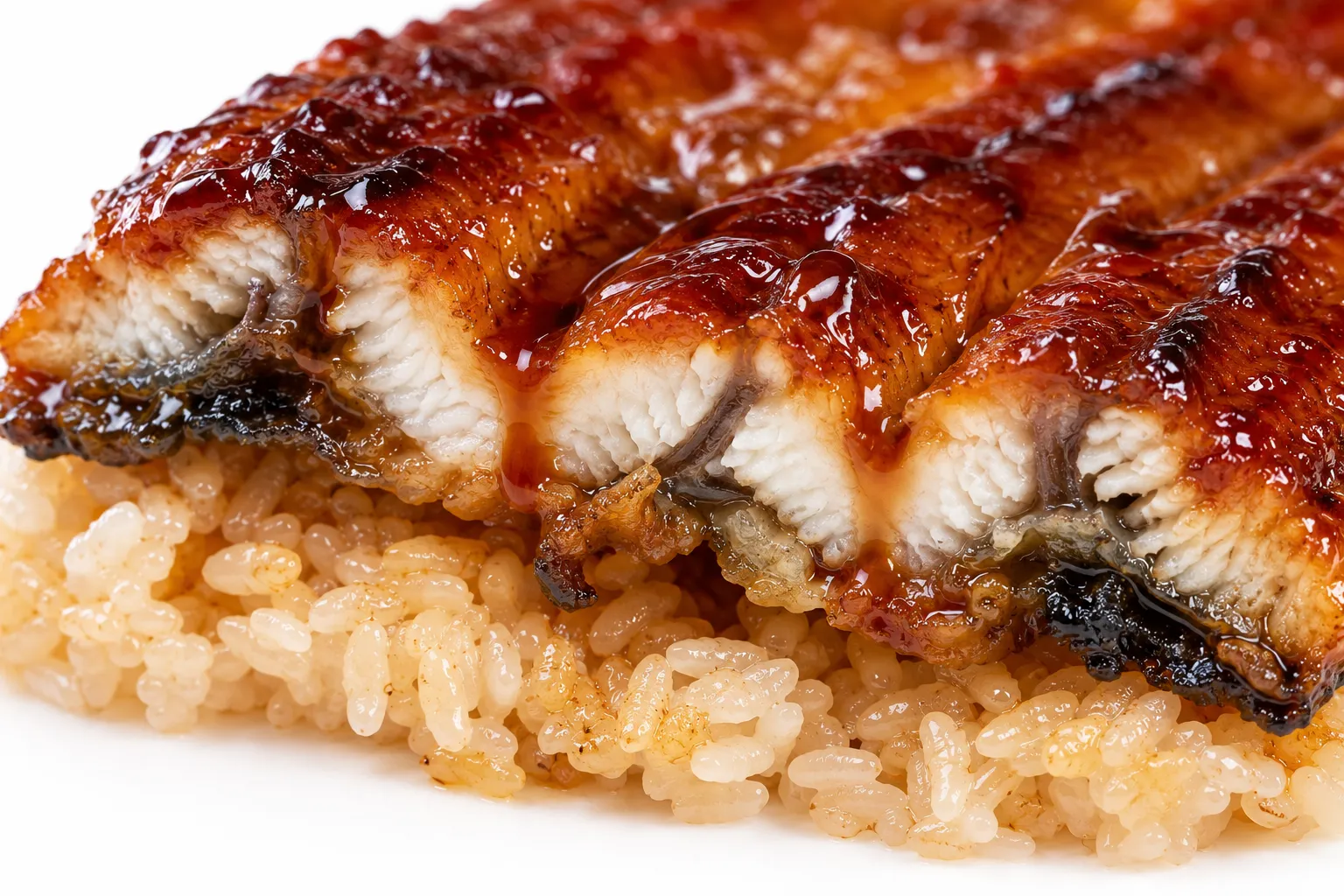 Close-up of Unagi
